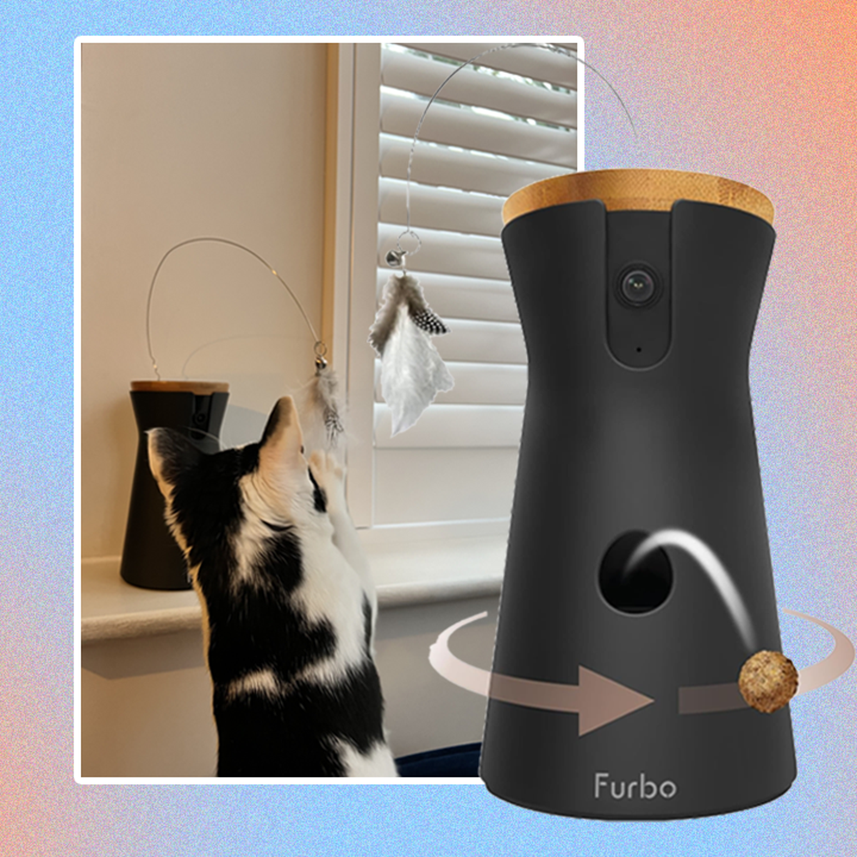 Furbo cat camera review The Independent